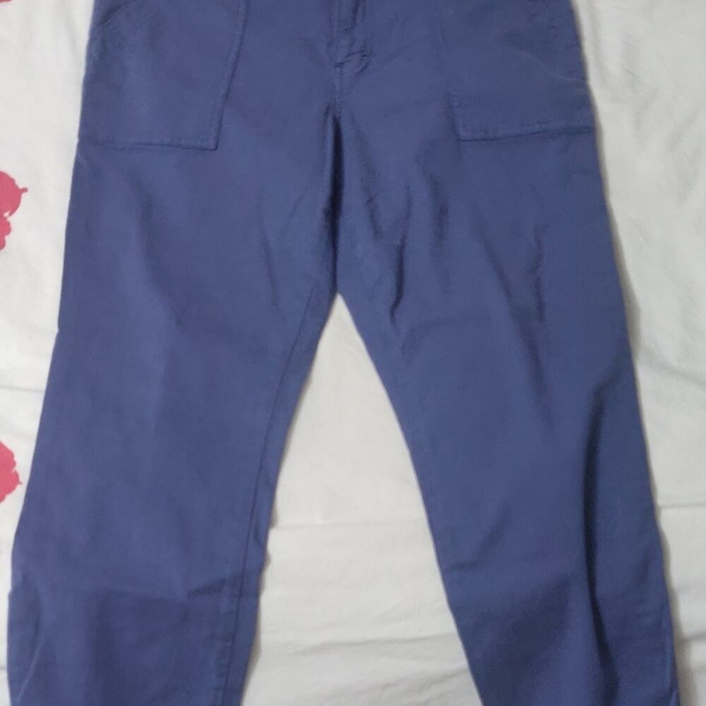 Pistola Blue Cargo Pants Size 29